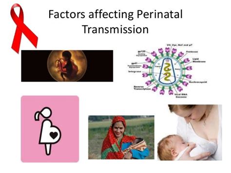 Perinatal Transmission Of Hiv