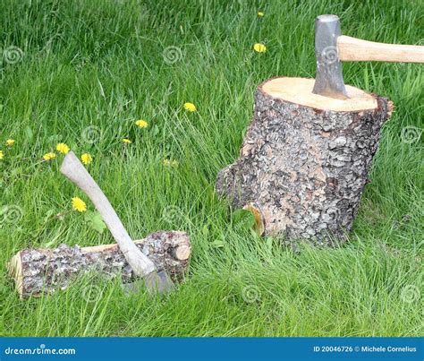 Chopping firewood stock photo. Image of wood, warmth - 20046726