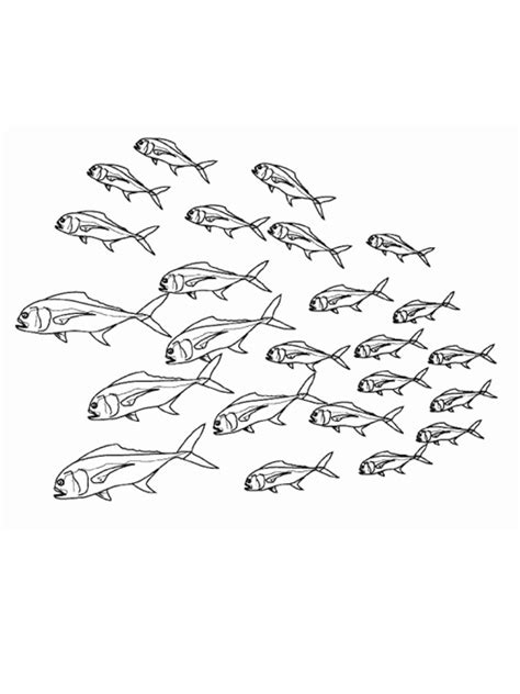 School of fish Coloring Page - Funny Coloring Pages