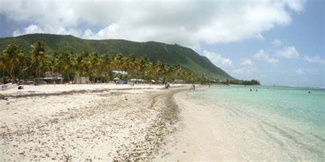 Guadeloupe En D Cembre M T O Photos Et Conseils Voyage Terre Bleue