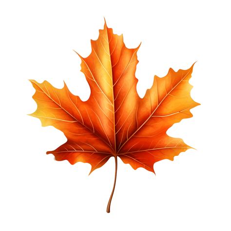 A golden maple leaf 28720708 PNG