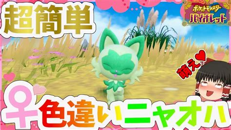 【ポケモンsv】最高効率『メス』の色違いニャオハを国際孵化！ ～萌え♡～【ゆっくり実況】 Youtube