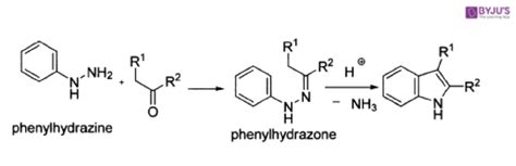 ‌Fischer Indole Synthesis - Definition, Reaction, Mechanism & Drawbacks ...