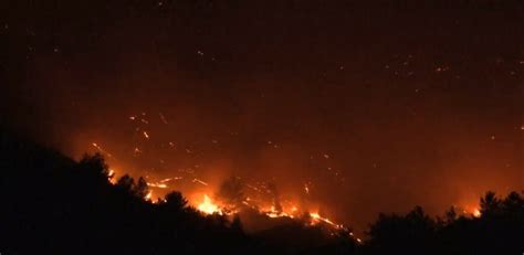 New fires in heat-hit Greece force evacuations - Insider Paper