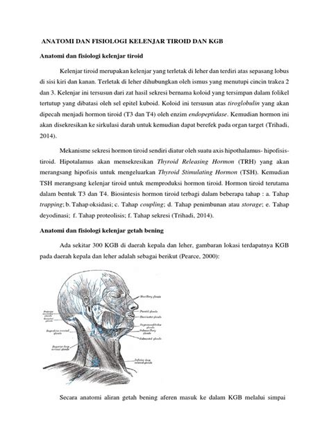 Anatomi Dan Fisiologi Kelenjar Tiroid Dan Kgb Pdf