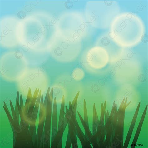 Green Grass Pattern - stock vector 2165356 | Crushpixel