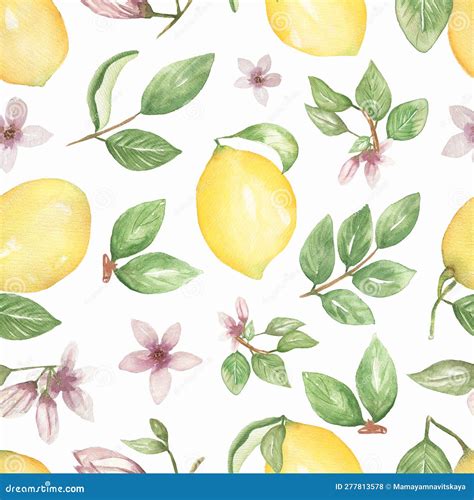 Watercolor Hand Drawn Lemon Seamless Pattern Citrus Fruit With Leaves