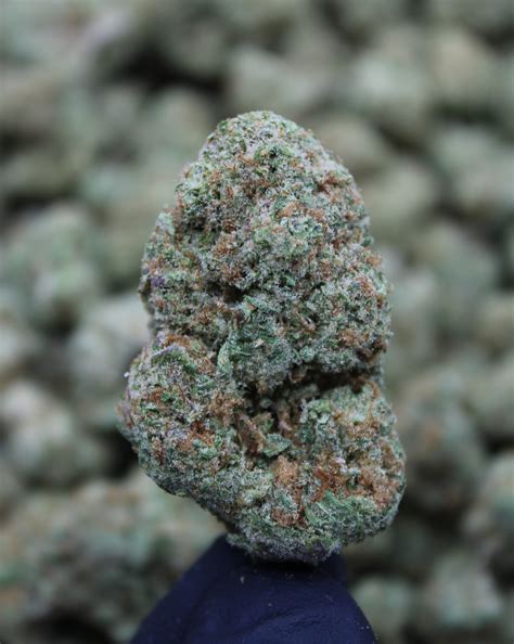 THCa Flower & Pre-Rolls | Curated High Terpene, Top Shelf Quality