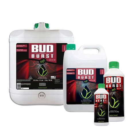 Nutrifield Bud Burst Flowering Booster Boost Hytec Hydroponic