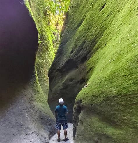 tutulari avatar gorge