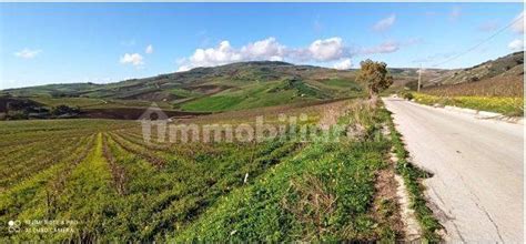 Asta Per Terreno Agricolo Contrada Balata Inici Castellammare Del