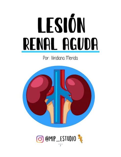 Insuficiencia Renal Aguda Mip Estudio UDocz