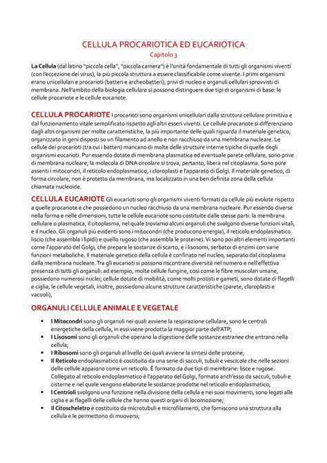 Capitolo 3 Cellula Eucariotica E Procariotica CELLULA PROCARIOTICA