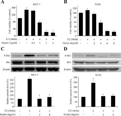 Figure From Huaier Aqueous Extract Suppresses Human Breast Cancer