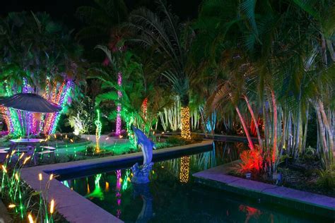 Botanical Gardens Tampa Christmas Lights - Beautiful Insanity