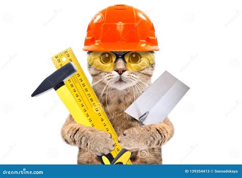 Retrato De Um Gato Do Construtor As Ferramentas Nas Patas Imagem De