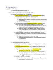 Endocrinology Docx Endocrinology A Posterior Pituitary A Hormones