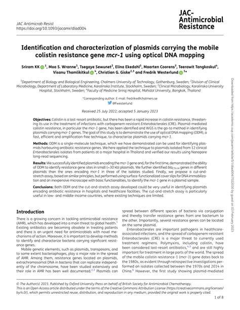 Pdf Identification And Characterization Of Plasmids Carrying The