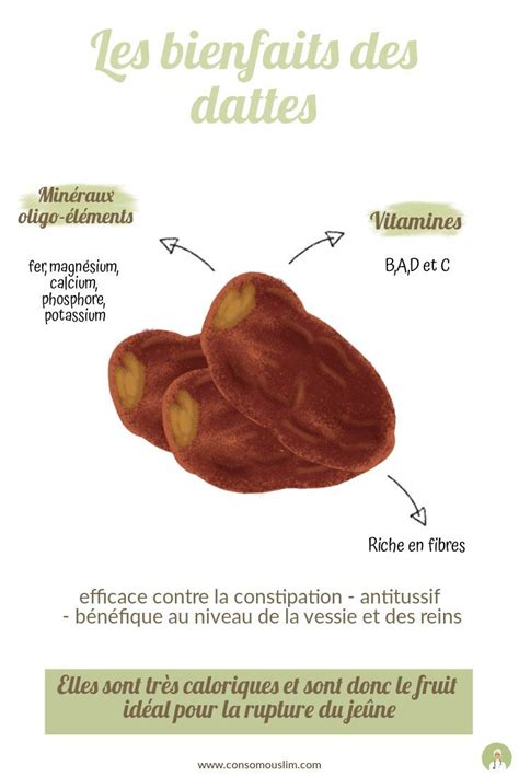 Les Bienfaits De La Datte Consomouslim Dattes Bienfaits