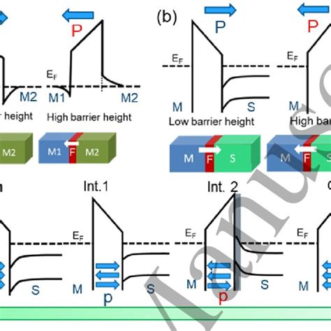 Schematic Band Diagram Of The Ferroelectric Tunnel Junctions With A