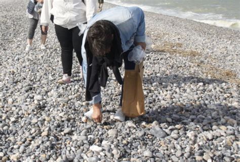 Participez L Op Ration De Ramassage De D Chets Organis E Sur La Plage