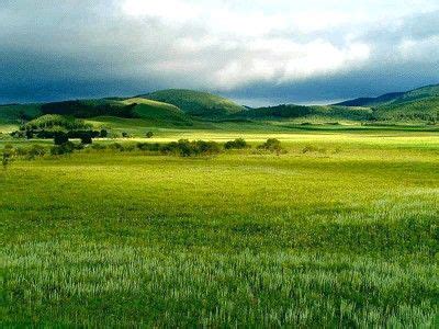 temperate grassland grassland biome landscape beautiful places nature