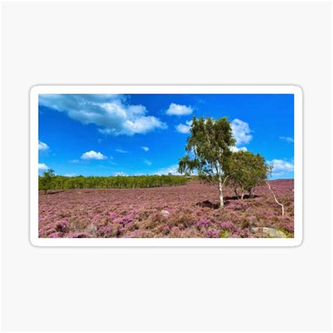 "Peak District moorland colour" Sticker for Sale by CreatureTrish | Redbubble