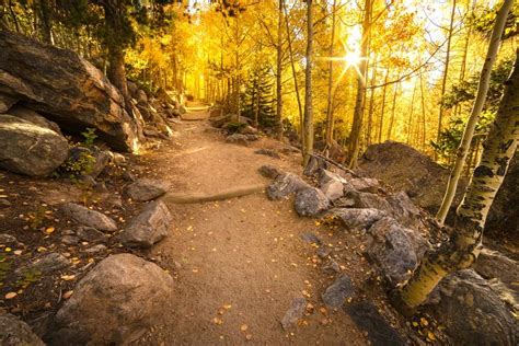 Beautiful Colorado Fall Foliage near Estes Park | Fall River Village