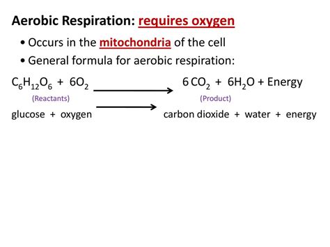 Cell Energy Photosynthesis And Respiration Notes Ppt Download