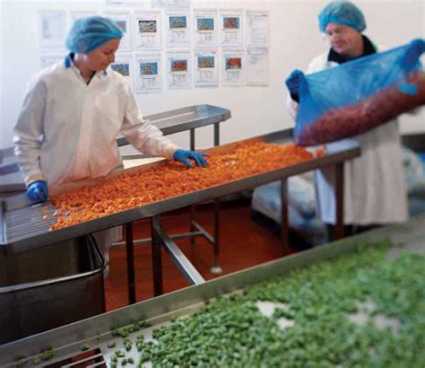 What is the Food Processing Industry? | Alsco