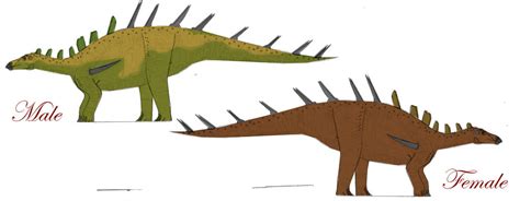 Male And Female Kentrosaurus Color Schemes By Keegz97 On Deviantart