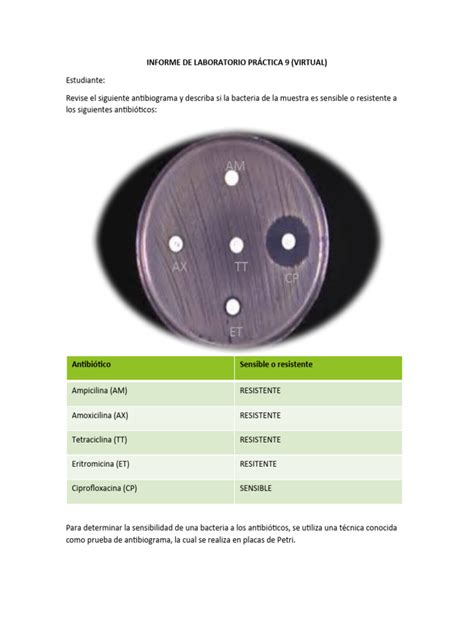 Informe De Laboratorio PrÁctica 9 Microbiología Pdf