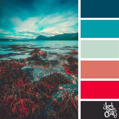 25 Color Palettes Inspired by Ocean Life and PANTONE Living Coral | Ocean color palette, Nature ...