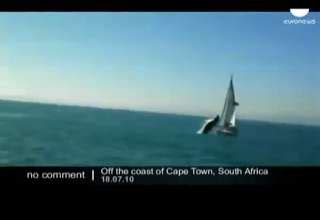 A Whale Jumping On A Boat Caught On Footage - Video | eBaum's World