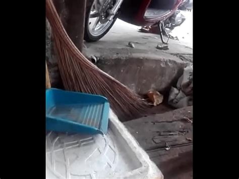 Quay lén lộ quần lót XVIDEOS