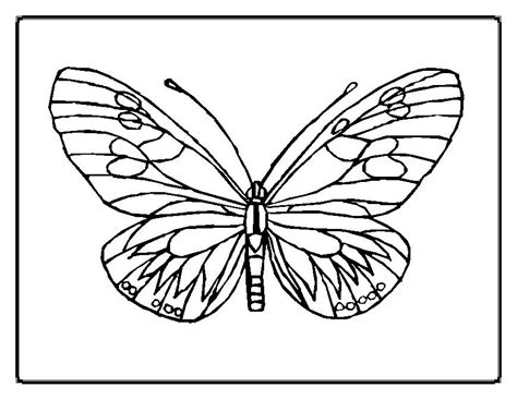 Free Printable Butterfly Coloring Pages For Kids