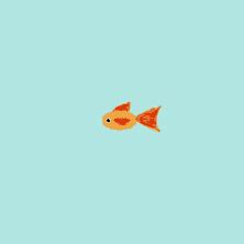 Animated Fish Swimming Gif