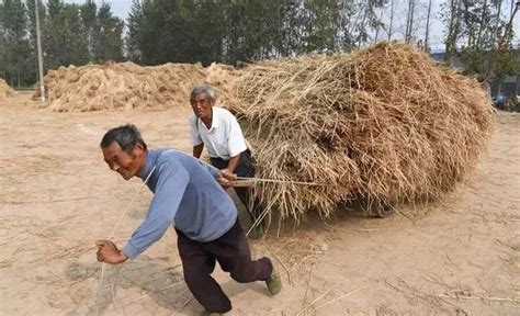 交了一辈子公粮的农民伯伯们都老了，不能再等了，请善待他们！农民工农民公粮新浪新闻