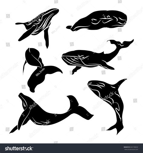 Big Whale Black Silhouette No Outline Stock Vector (Royalty Free) 602190632 | Shutterstock