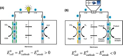 Schematic Of Bioelectrochemical Systems For Two Scenarios A Cell