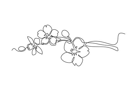 Single one line drawing Cherry tree spring flower. Cherry blossom ...