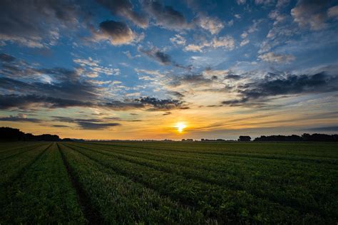 Sonnenaufgang Feld Felder Kostenloses Foto Auf Pixabay