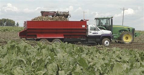 Idaho Beet Harvest Off To Sweet Start Idaho