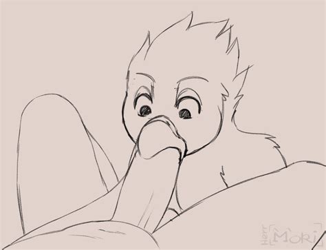 Rule 34 Animated Anthro Avian Balls Duo Feathers Fellatio Genitals Herrmoki Male Male Male