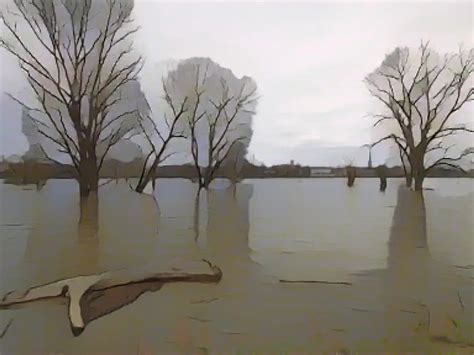 Rhein Hochwasser geht zurück