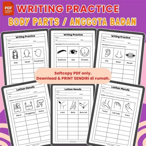 writing practice body parts english bahasa melayu children