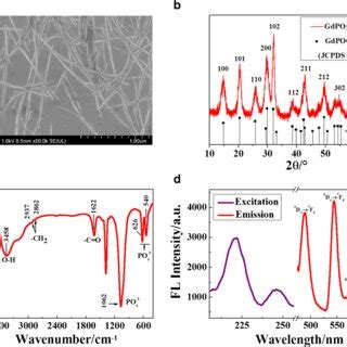 a SEM image of GdPO4 Tb³ samples b XRD patterns of GdPO4 Tb³ c