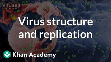 Virus Structure And Replication Viruses High School Biology Khan