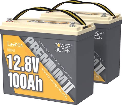 Power Queen 2 Pack 12V 100Ah Mini LiFePO4 Lithium Battery With Built