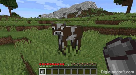 How Do You Milk A Cow In Minecraft